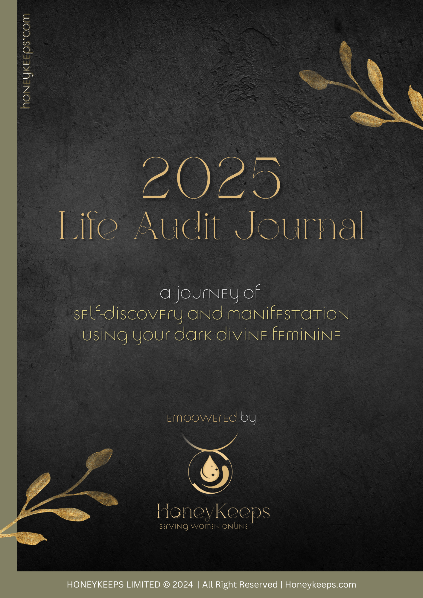 2025 Life Audit Using Your Dark Feminine Energy